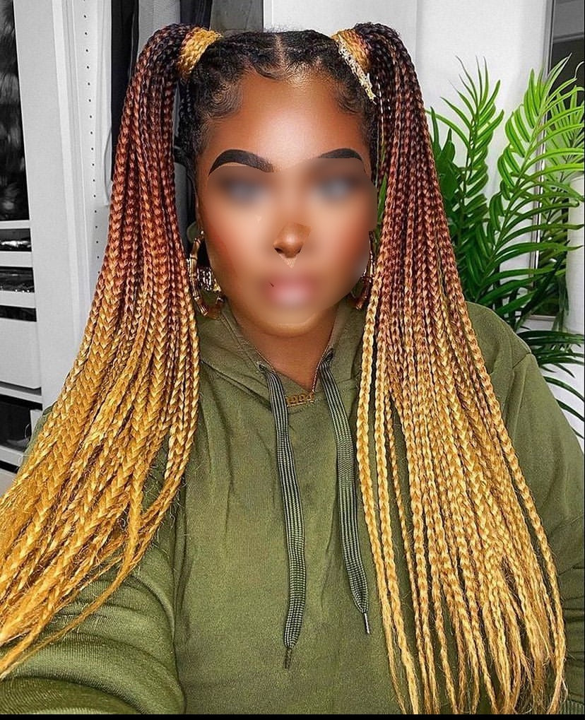 OMBRÉ BRAIDS (Avec mèches)